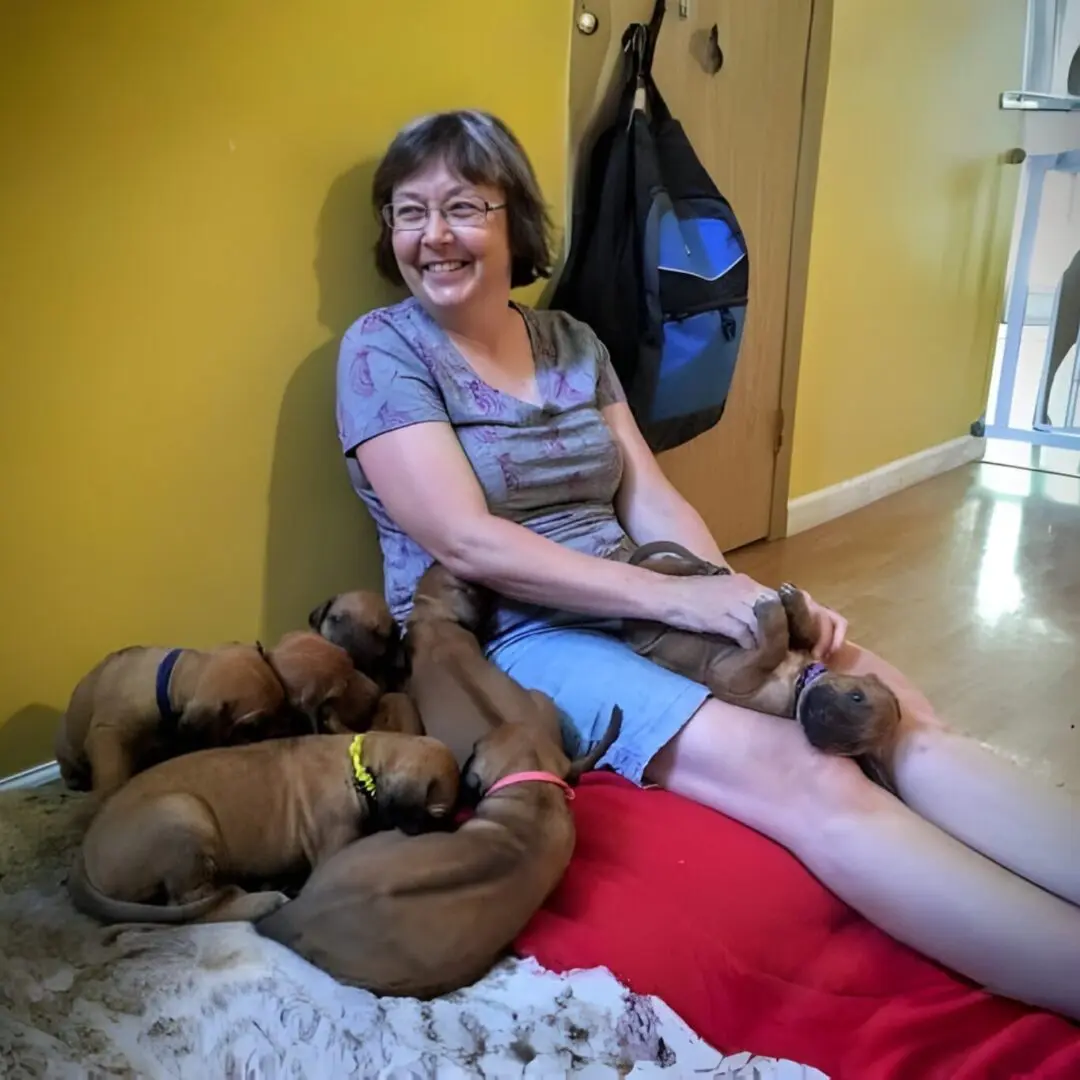 Woman sitting with six puppies on floor.